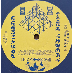 Luke Vibert / Posthuman Unitary Covert Sonic Procedures IV Vinyl 12" USED