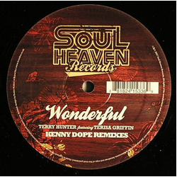 Terry Hunter / Terisa Griffin Wonderful (Kenny Dope Remixes) Vinyl 12" USED