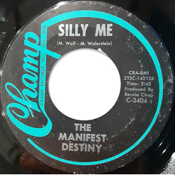 The Manifest Destiny (2) Silly Me / Reminds Me Of You Vinyl 7" USED