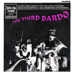 The Third Bardo Lose Your Mind Vinyl 7" USED