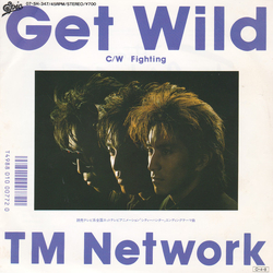 TM Network Get Wild Vinyl 7" USED