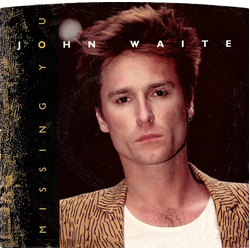 John Waite Missing You Vinyl 7" USED