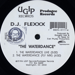 DJ Flexxx The Waterdance Vinyl 12" USED
