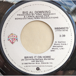 Al Downing Bring It On Home Vinyl 7" USED