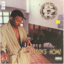 Big Daddy Kane Daddy's Home Vinyl LP USED