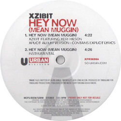 Xzibit Hey Now (Mean Muggin) USED VINYL 12INCH 33 S RPM PROMO STEREO