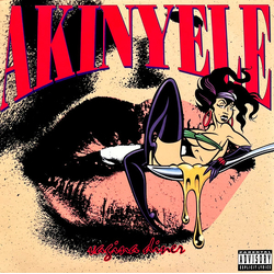 Akinyele Vagina Diner Vinyl LP USED