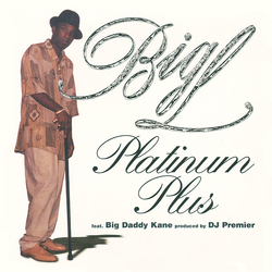 Big L Platinum Plus Vinyl 12" USED