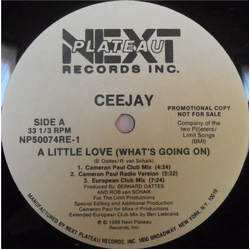 Ceejay A Little Love (What's Going On) Vinyl 12" USED