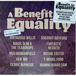 Various A Benefit For Equality Vol. 1 Vinyl LP USED