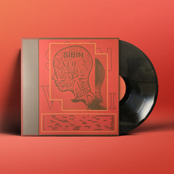Síbín S​í​b​í​n Vol. 1 Vinyl 12" USED