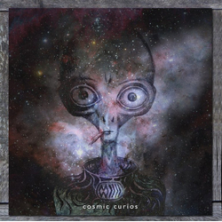 The Band Whose Name Is A Symbol Cosmic Curios Vinyl LP USED
