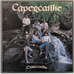 Capercaillie Cascade Vinyl LP USED