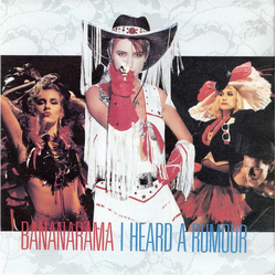 Bananarama I Heard A Rumour Vinyl 7" USED