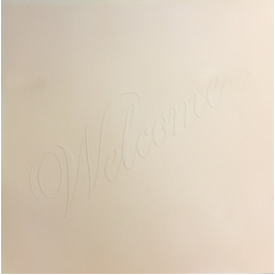 Santana Welcome Vinyl LP USED
