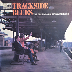 Brunning Sunflower Blues Band Trackside Blues Vinyl LP USED