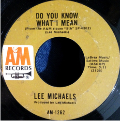 Lee Michaels Do You Know What I Mean Vinyl 7" USED