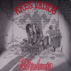 Kães Vadius Psychodemia Vinyl LP USED