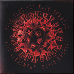 Till Lindemann / David Garrett (4) Alle Tage Ist Kein Sonntag Vinyl 7" USED