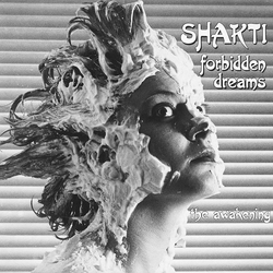 Shakti Forbidden Dreams / The Awakening Vinyl 12" USED