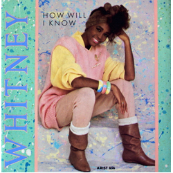 Whitney Houston How Will I Know Vinyl 7" USED