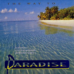 Tyrone Taylor The Way To Paradise Vinyl LP USED