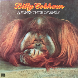 Billy Cobham A Funky Thide Of Sings Vinyl LP USED