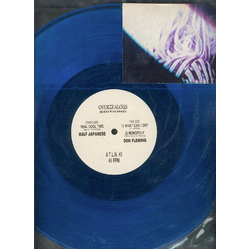 1/2 Japanese / Don Fleming Untitled Vinyl 12" USED