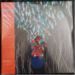 Bright Eyes Down In The Weeds, Where The World Once Was Vinyl 2 LP USED