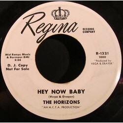 The Horizons Hey Now Baby USED VINYL 7INCH 45 RPM PROMO