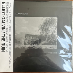 Elliot Galvin The Ruin Vinyl LP USED