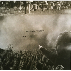 Sole Destituent Vinyl LP USED