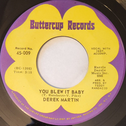 Derek Martin You Blew It Baby Vinyl 7" USED
