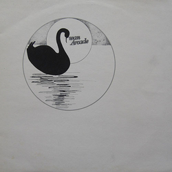 Swan Arcade Swan Arcade Vinyl LP USED