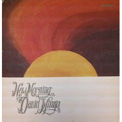 David Wingo (2) New Morning Vinyl LP USED