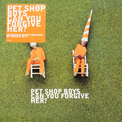 Pet Shop Boys Can You Forgive Her? Vinyl 12" USED
