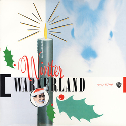 Various Winter Warnerland Vinyl 2 LP USED