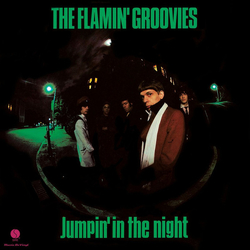The Flamin' Groovies Jumpin' In The Night Vinyl LP USED