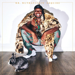 Mr. Muthafuckin' eXquire Mr. Muthafuckin' eXquire Vinyl LP USED