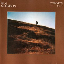 Van Morrison Common One Vinyl LP USED
