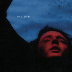 Troye Sivan In A Dream Vinyl LP USED