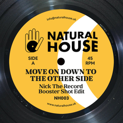 Nick The Record Move On Down To The Other Side Vinyl 12" USED