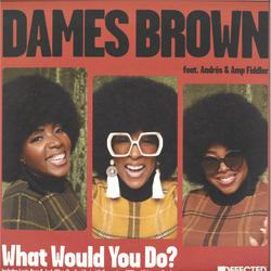 Dames Brown / Andrés / Amp Fiddler What Would You Do? Vinyl 12" USED