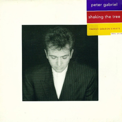 Peter Gabriel Shaking The Tree (Twelve Golden Greats) Vinyl LP USED