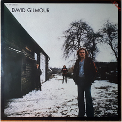 David Gilmour David Gilmour Vinyl LP USED