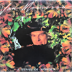 Van Morrison A Sense Of Wonder Vinyl LP USED