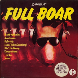 Various Full Boar Vinyl LP USED