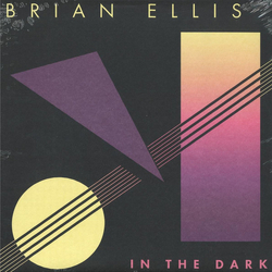 Brian Ellis In The Dark Vinyl LP USED