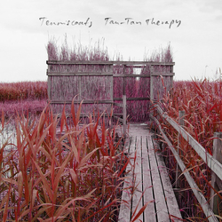 Tenniscoats Tan-Tan Therapy Vinyl LP USED