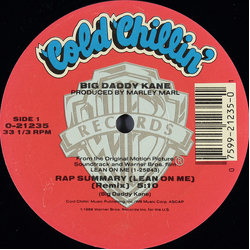 Big Daddy Kane Rap Summary (Lean On Me) Vinyl 12" USED